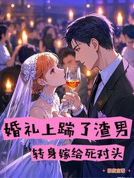 婚礼上踹了渣男,转身嫁给死对头 封面