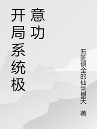开局系统极意功 封面