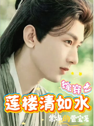 综穿之莲楼清如水 封面