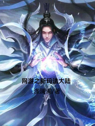 网游之新玛法大陆 封面