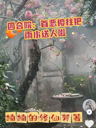 四合院：首恶傻柱把雨水送人啦 封面