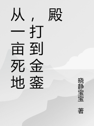 从一亩死地，打到金銮殿 封面