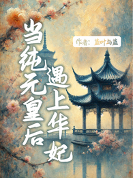 当纯元皇后遇上华妃 封面
