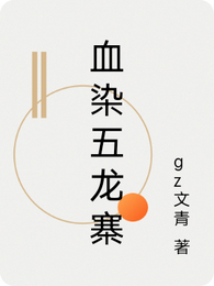 血染五龙寨 封面