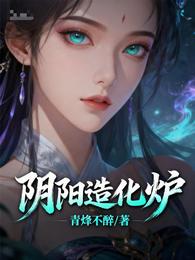 阴阳造化炉 封面