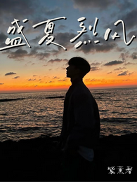 盛夏烈风 封面