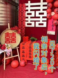 见了20个相亲对象后,我闪婚了 封面