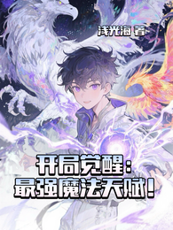 开局觉醒最强魔法天赋 封面