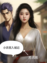 小农民入城记 封面