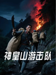 神皇山游击队 封面