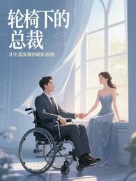 轮椅下的总裁：从坠落深渊到暖阳 封面