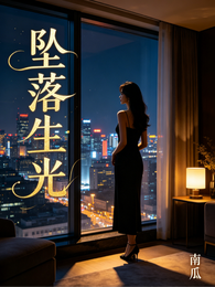 坠落生光 封面