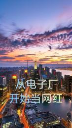 从电子厂开始当网红 封面