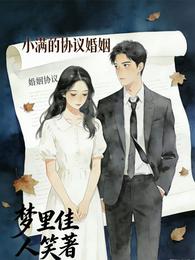 小满的协议婚姻 封面