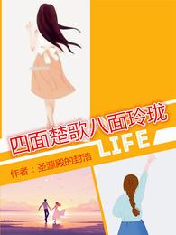 四面楚歌八面玲珑 封面