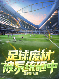 足球废材被系统砸中 封面