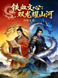 铁血文心:双龙耀山河 封面