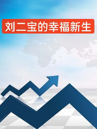 刘二宝的幸福新生 封面