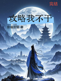 攻略我不干 封面