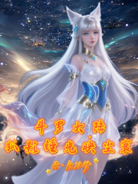 斗罗大陆：狐影锤光映尘寰 封面