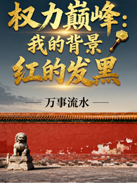 权力巅峰：我！背景红的发黑！ 封面