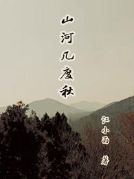 山河几度秋 封面