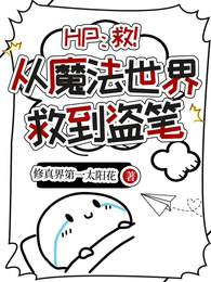 hp：从魔法世界救到盗笔 封面