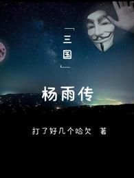 三国杨雨传 封面