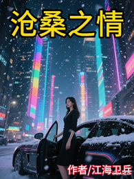 沧桑之情 封面