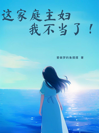 这家庭主妇我不当了 封面