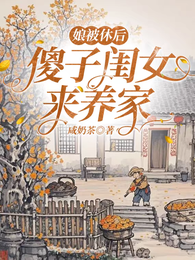 娘被休后,傻子闺女来养家 封面