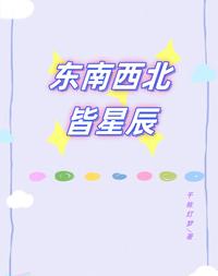 东南西北皆星辰 封面