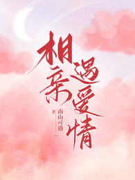 相亲遇爱情 封面