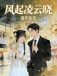 风起凌云晓 封面