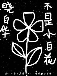 肖白华不是小白花 封面