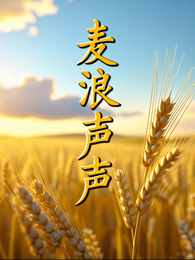 麦浪声声 封面