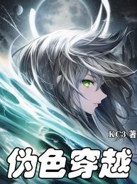 伪色穿越 封面