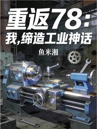 重返78：我，缔造工业神话 封面