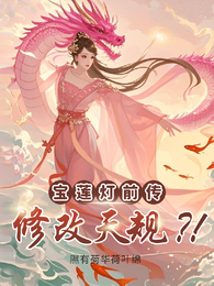 宝莲灯前传：修改天规？！ 封面