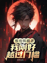 维度纵横者：我刚好越过门槛 封面