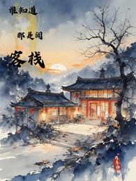 谁知道那是客栈啊 封面
