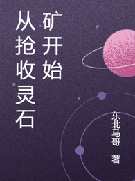 从抢收灵石矿开始 封面