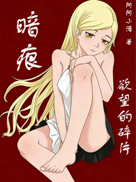 暗痕：欲望的碎片 封面