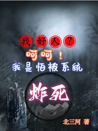 我好人？呵呵！我是怕被系统炸死 封面