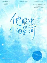 他眼中的星河 封面