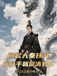 风起大秦扶苏:我反手就是清君侧 封面