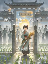 我在末日废土:种太阳! 封面