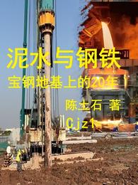 泥水与钢铁：宝钢地基上的20年 封面