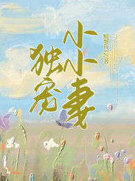 独宠小小妻 封面