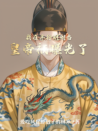 我在平行明朝当皇帝被曝光了 封面